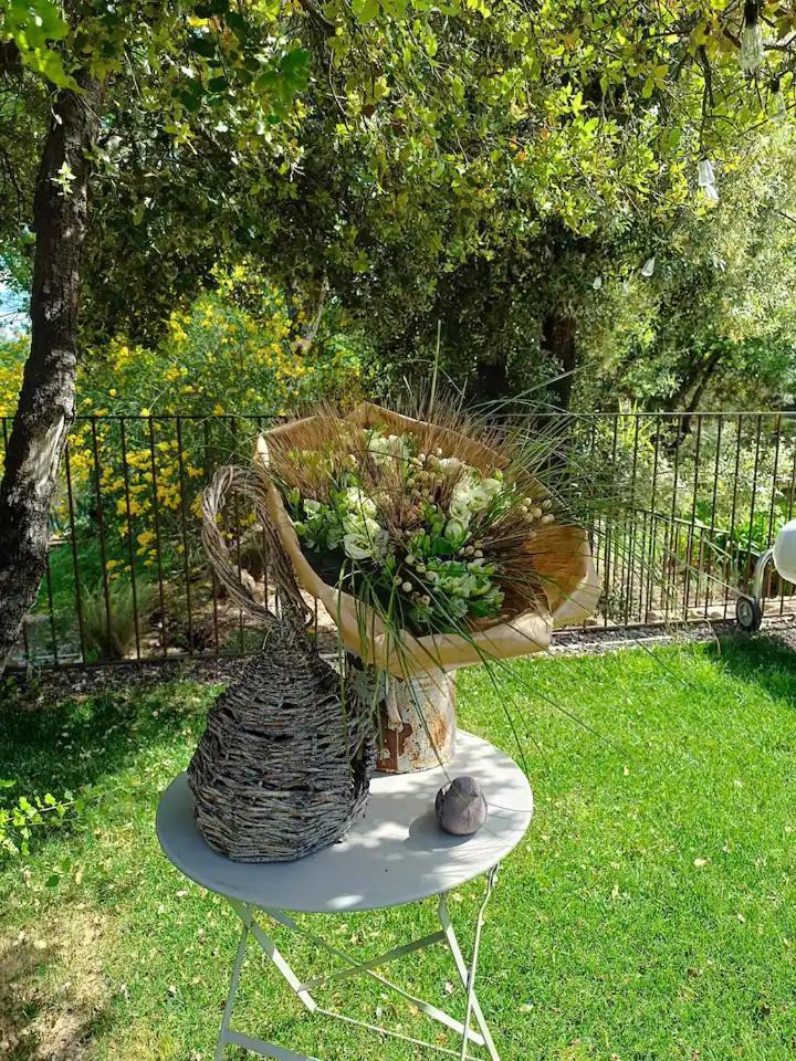 L'Autre Perle, Balneo En Supplement, Le Clos Des Perles Tourtour Εξωτερικό φωτογραφία
